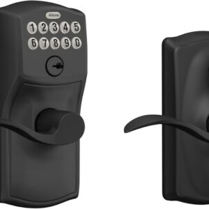 Electronic Locks