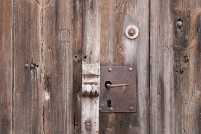 Tips for Maintaining and Caring for Your Door Locks